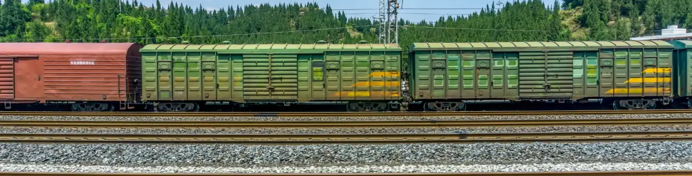 Tren de carga